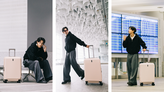 How Many Suitcases Luggage Can You Take On A Plane?