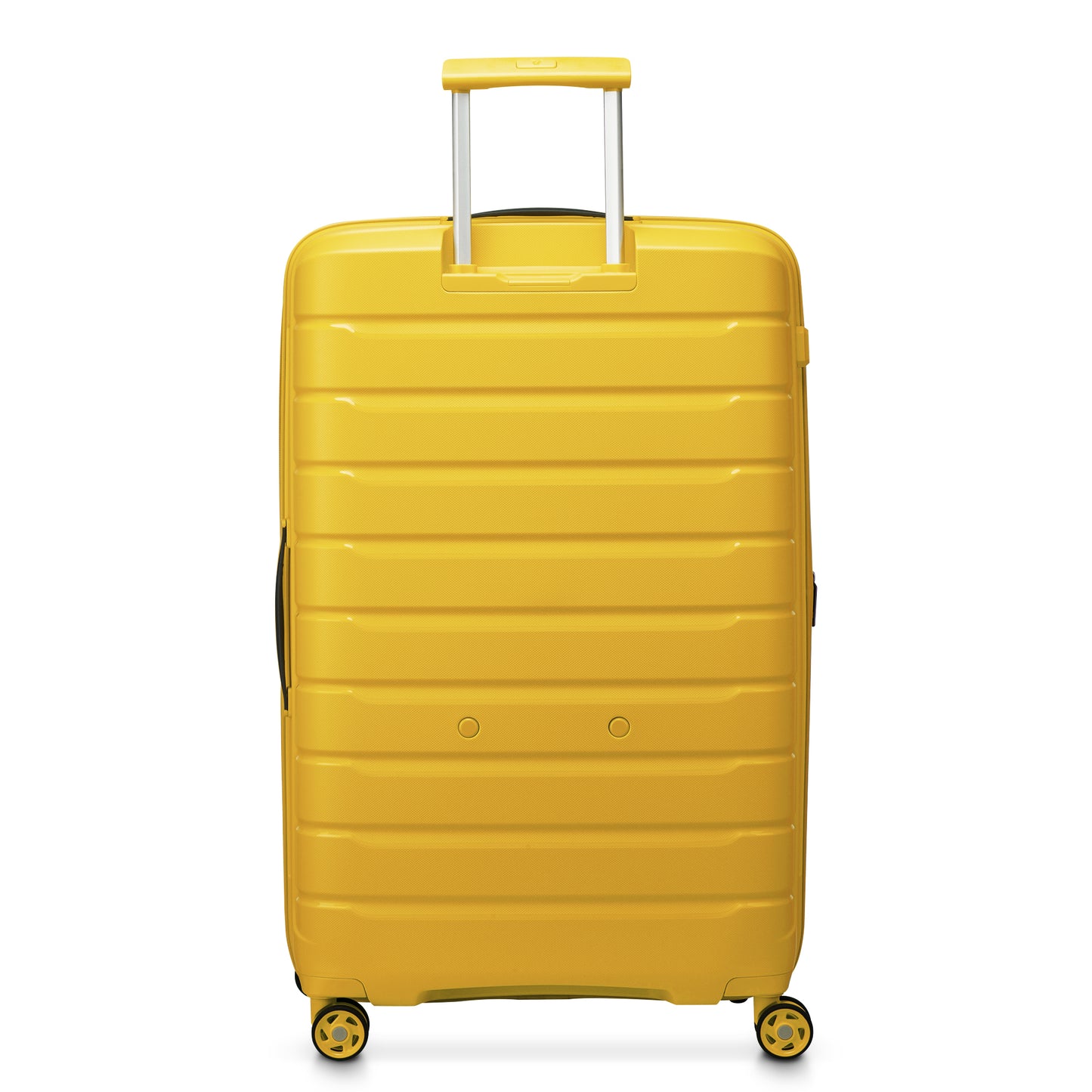 Roncato Butterfly (Large)