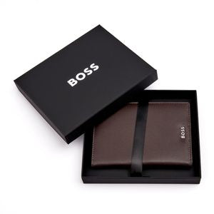 BOSS Classic Smooth Passport Holder HLP403Y (Brown)
